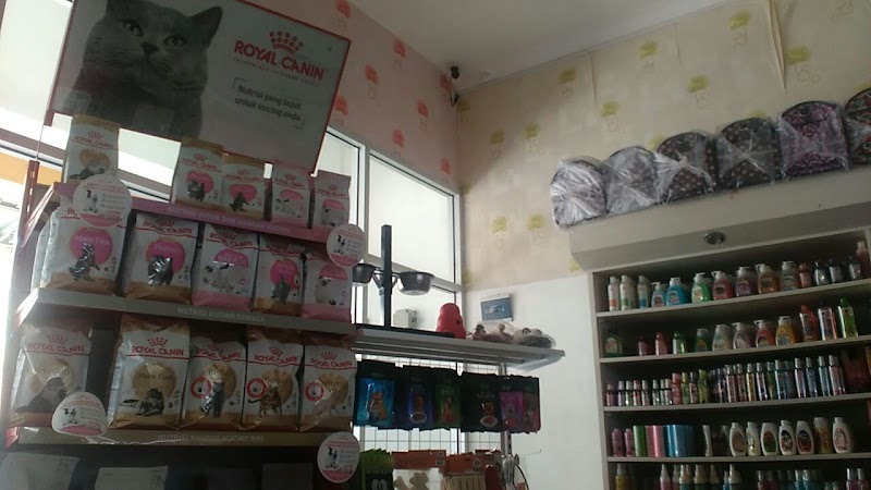 Rizqi Petshop: Solusi Kesehatan & Kecantikan Hewan Peliharaan di Cilacap